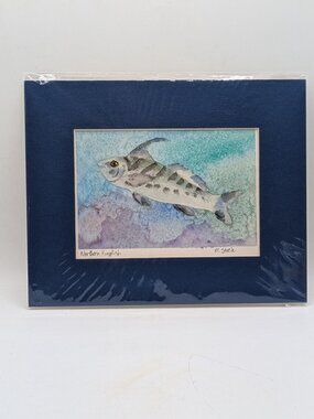 Original Watercolor Painting Signed Art Northern Kingfish M Steele Matted 8x10